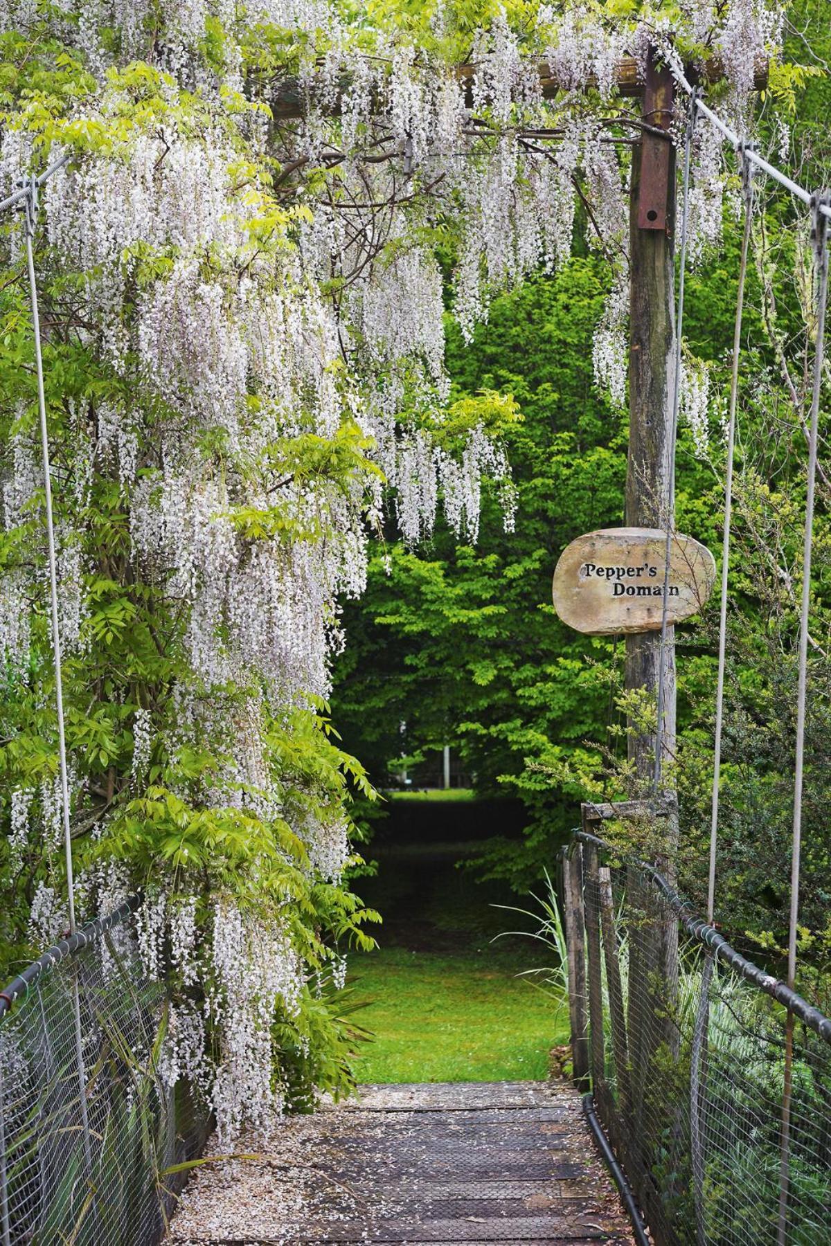 스트랫퍼드 Tepopo Gardens Rural Retreat 빌라 외부 사진