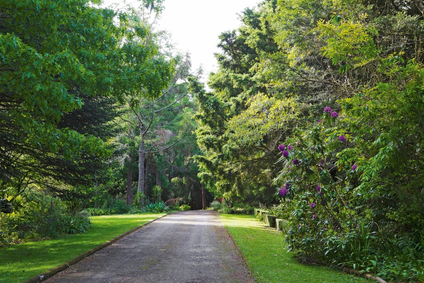 스트랫퍼드 Tepopo Gardens Rural Retreat 빌라 외부 사진