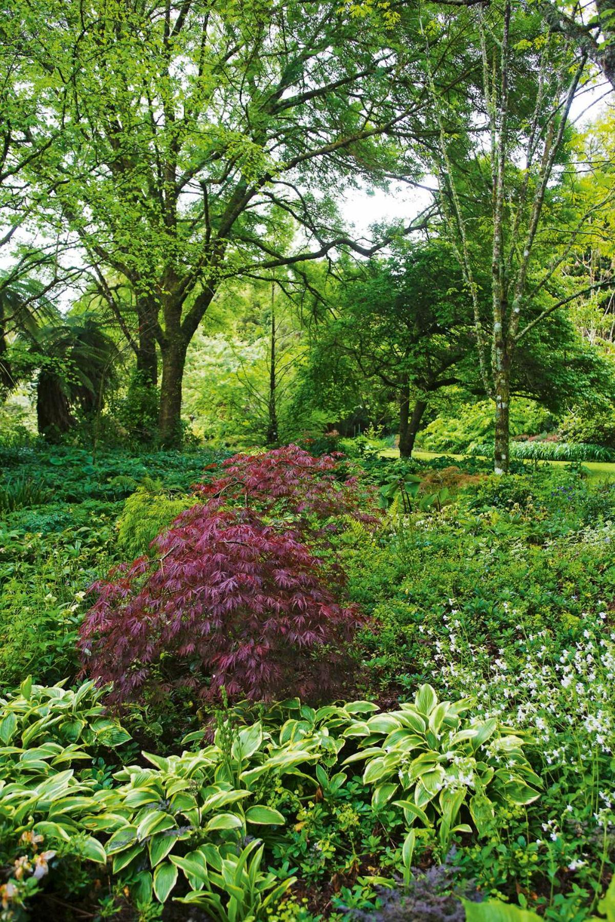 스트랫퍼드 Tepopo Gardens Rural Retreat 빌라 외부 사진