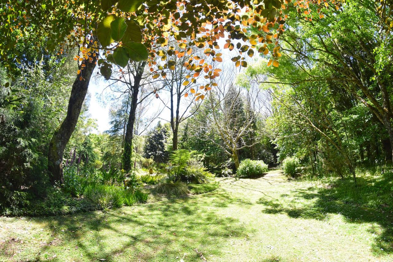 스트랫퍼드 Tepopo Gardens Rural Retreat 빌라 외부 사진
